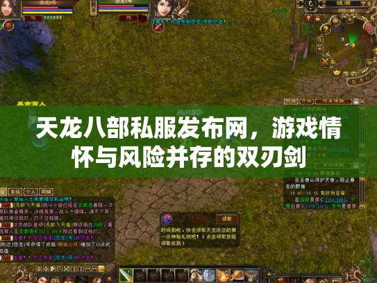 天龙八部私服发布网，游戏情怀与风险并存的双刃剑
