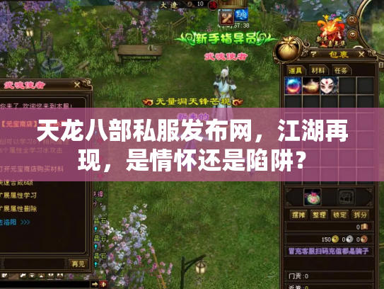 天龙八部私服发布网，江湖再现，是情怀还是陷阱？