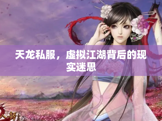 天龙私服，虚拟江湖背后的现实迷思