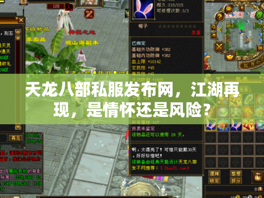 天龙八部私服发布网，江湖再现，是情怀还是风险？