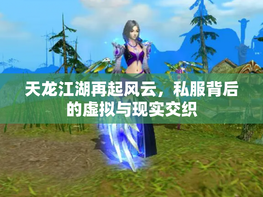 天龙江湖再起风云，私服背后的虚拟与现实交织