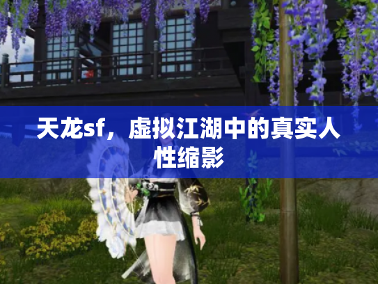 天龙sf，虚拟江湖中的真实人性缩影