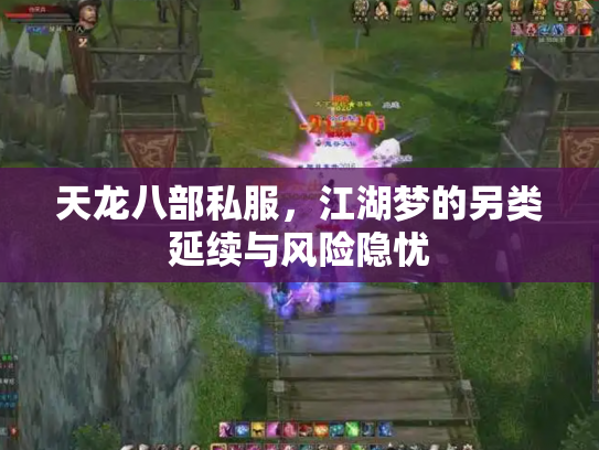 天龙八部私服，江湖梦的另类延续与风险隐忧