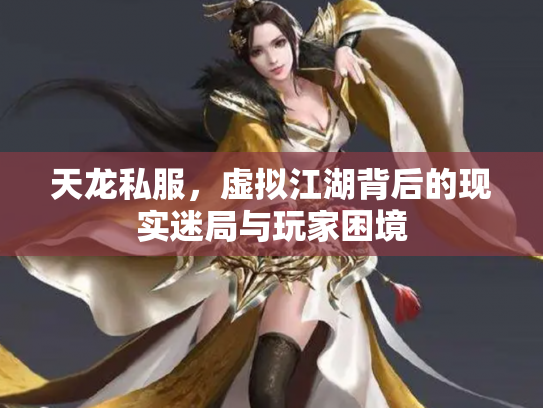 天龙私服，虚拟江湖背后的现实迷局与玩家困境