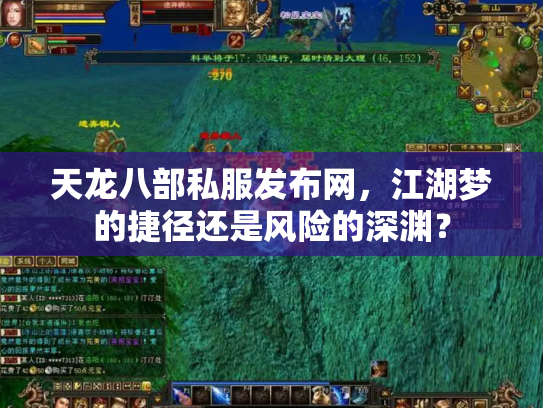 天龙八部私服发布网，江湖梦的捷径还是风险的深渊？
