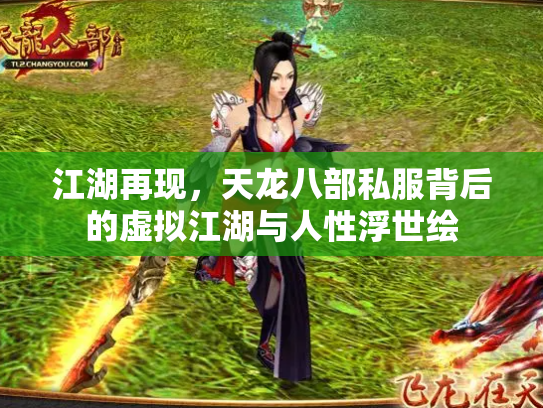 江湖再现，天龙八部私服背后的虚拟江湖与人性浮世绘