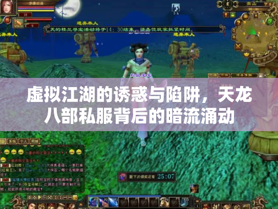 虚拟江湖的诱惑与陷阱，天龙八部私服背后的暗流涌动