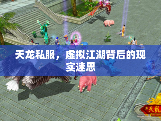 天龙私服，虚拟江湖背后的现实迷思