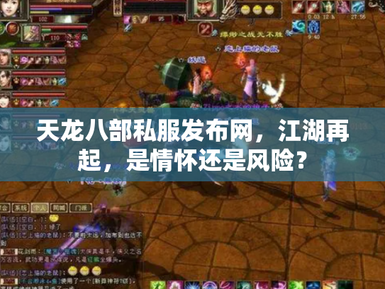 天龙八部私服发布网，江湖再起，是情怀还是风险？