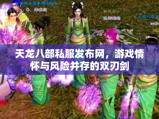 天龙八部私服发布网，游戏情怀与风险并存的双刃剑
