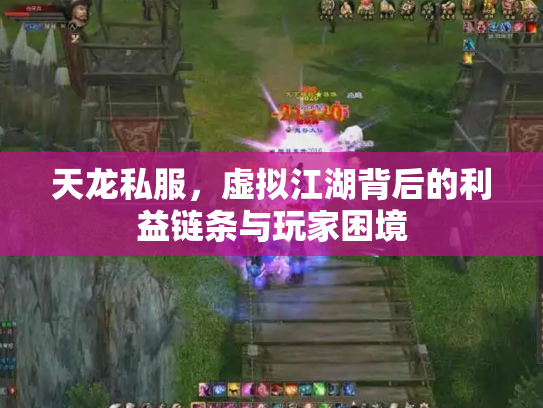 天龙私服，虚拟江湖背后的利益链条与玩家困境