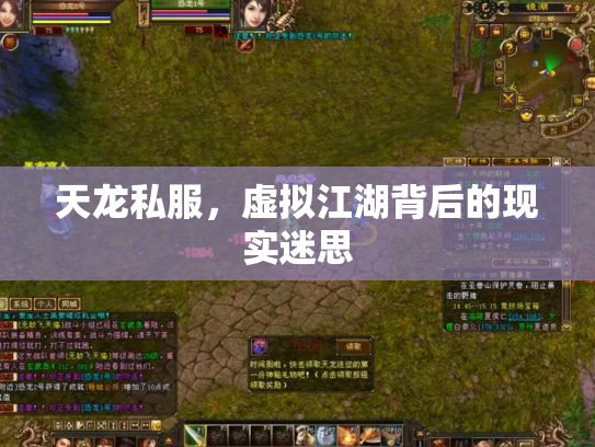 天龙私服，虚拟江湖背后的现实迷思