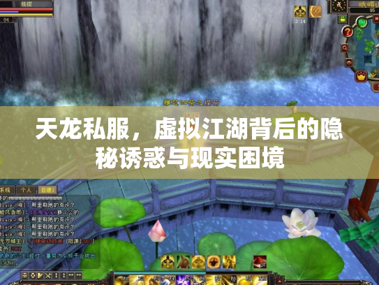 天龙私服，虚拟江湖背后的隐秘诱惑与现实困境