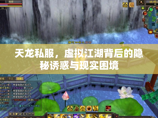 天龙私服，虚拟江湖背后的隐秘诱惑与现实困境