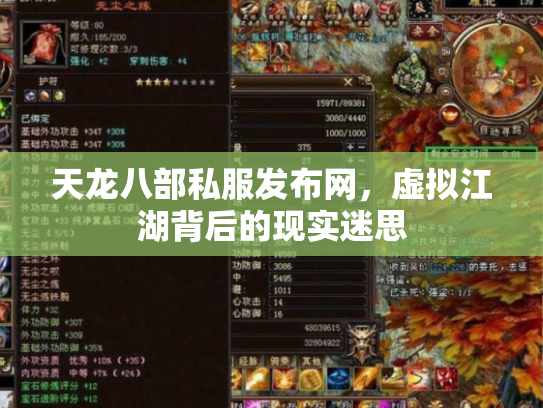 天龙八部私服发布网，虚拟江湖背后的现实迷思