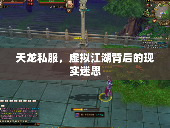 天龙私服，虚拟江湖背后的现实迷思