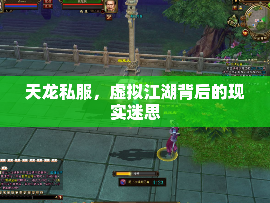天龙私服，虚拟江湖背后的现实迷思