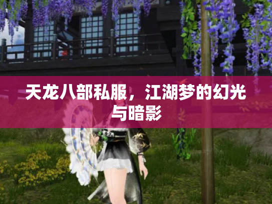 天龙八部私服，江湖梦的幻光与暗影