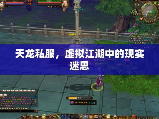 天龙私服，虚拟江湖中的现实迷思