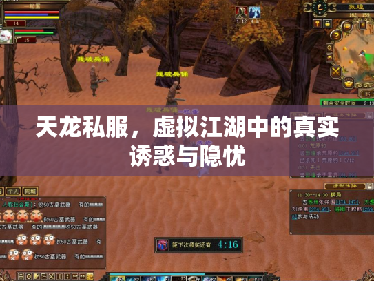 天龙私服，虚拟江湖中的真实诱惑与隐忧