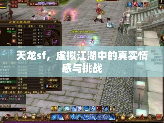 天龙sf，虚拟江湖中的真实情感与挑战