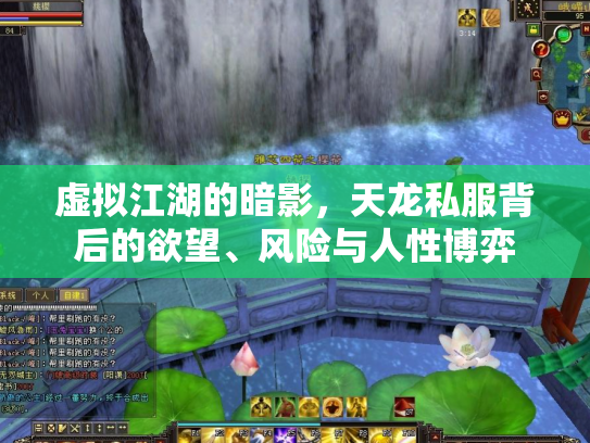 虚拟江湖的暗影，天龙私服背后的欲望、风险与人性博弈
