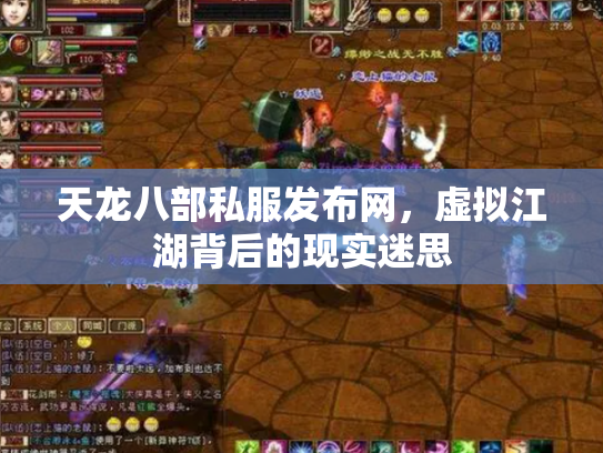 天龙八部私服发布网，虚拟江湖背后的现实迷思