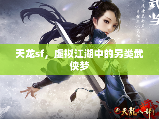 天龙sf，虚拟江湖中的另类武侠梦