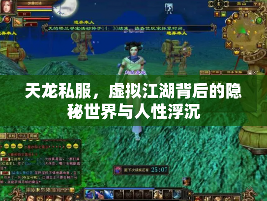 天龙私服，虚拟江湖背后的隐秘世界与人性浮沉