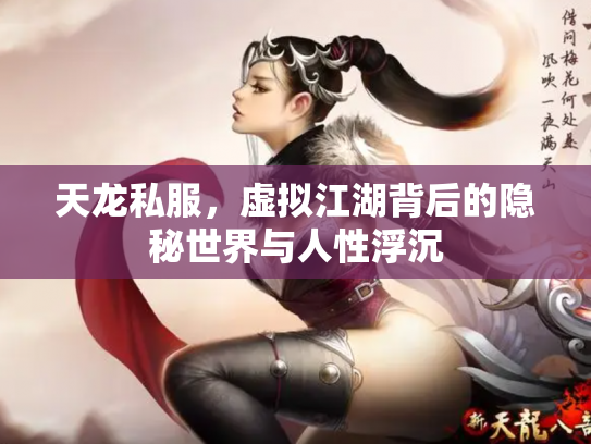 天龙私服，虚拟江湖背后的隐秘世界与人性浮沉