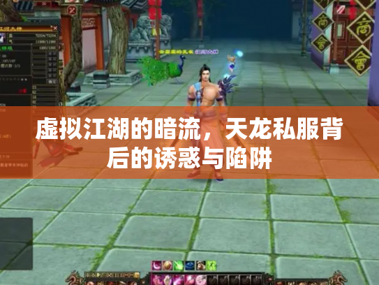 虚拟江湖的暗流，天龙私服背后的诱惑与陷阱