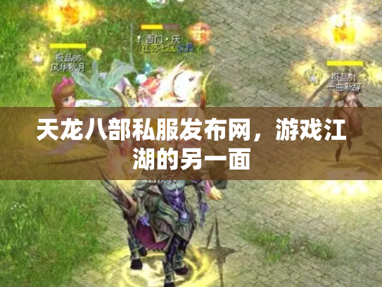 天龙八部私服发布网，游戏江湖的另一面