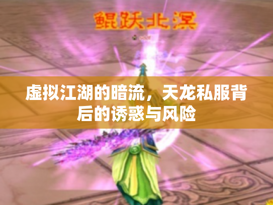 虚拟江湖的暗流，天龙私服背后的诱惑与风险