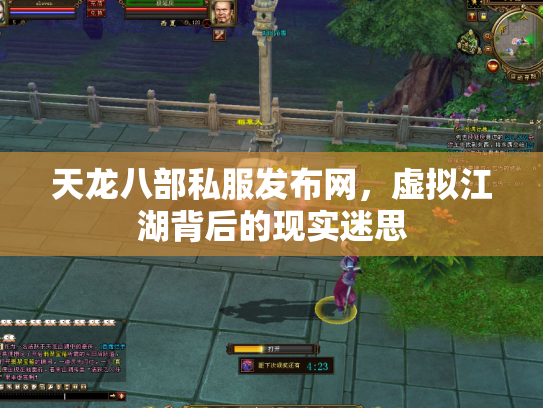 天龙八部私服发布网，虚拟江湖背后的现实迷思