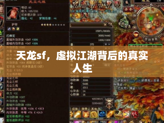 天龙sf，虚拟江湖背后的真实人生