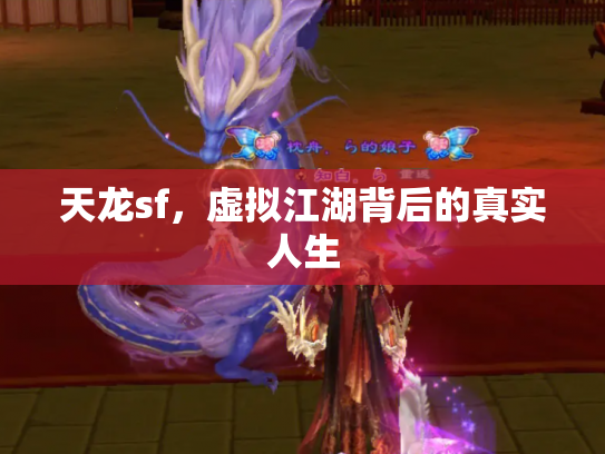 天龙sf，虚拟江湖背后的真实人生