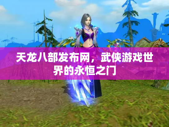 天龙八部发布网，武侠游戏世界的永恒之门