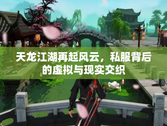 天龙江湖再起风云，私服背后的虚拟与现实交织