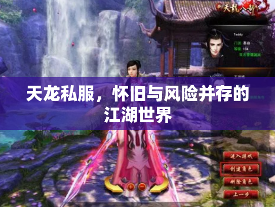 天龙私服，怀旧与风险并存的江湖世界