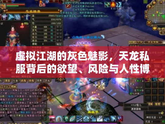 虚拟江湖的灰色魅影，天龙私服背后的欲望、风险与人性博弈