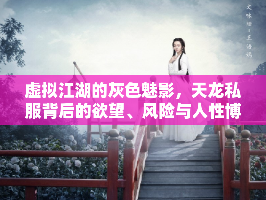 虚拟江湖的灰色魅影，天龙私服背后的欲望、风险与人性博弈