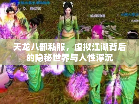 天龙八部私服，虚拟江湖背后的隐秘世界与人性浮沉