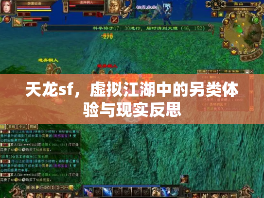 天龙sf，虚拟江湖中的另类体验与现实反思