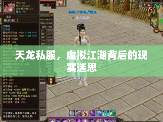 天龙私服，虚拟江湖背后的现实迷思