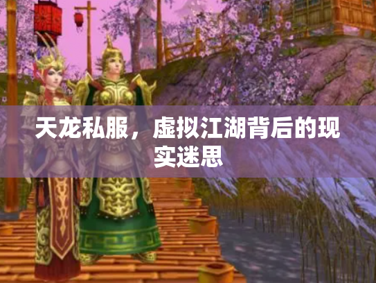 天龙私服，虚拟江湖背后的现实迷思