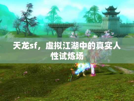 天龙sf，虚拟江湖中的真实人性试炼场
