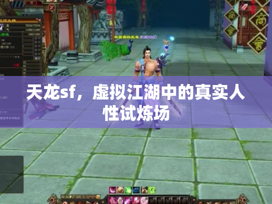 天龙sf，虚拟江湖中的真实人性试炼场