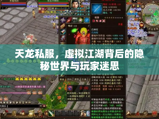 天龙私服，虚拟江湖背后的隐秘世界与玩家迷思