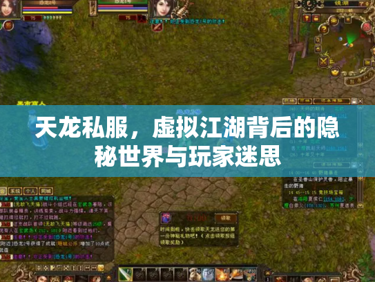 天龙私服，虚拟江湖背后的隐秘世界与玩家迷思