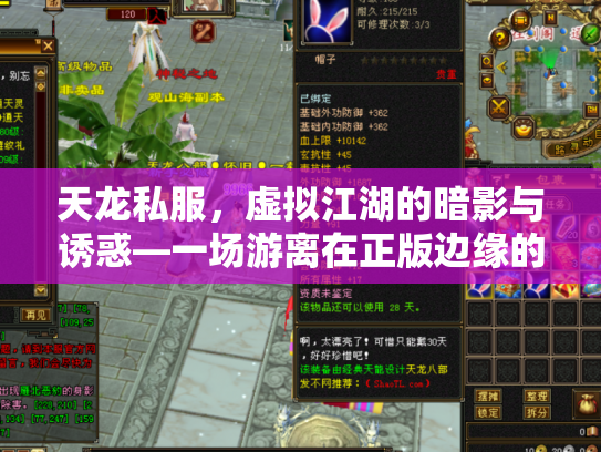 天龙私服，虚拟江湖的暗影与诱惑—一场游离在正版边缘的武侠梦